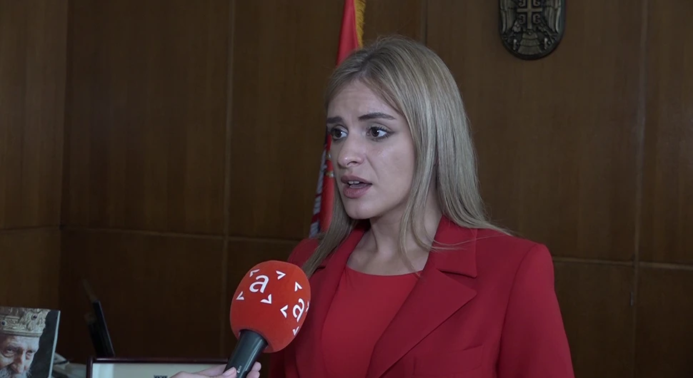milica djurdjevic stamenkovski.webp